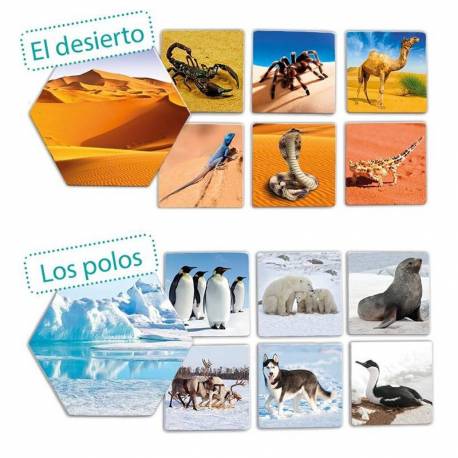 Dove vivono gli animali?