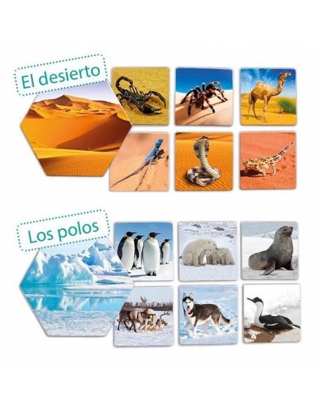 Dove vivono gli animali?