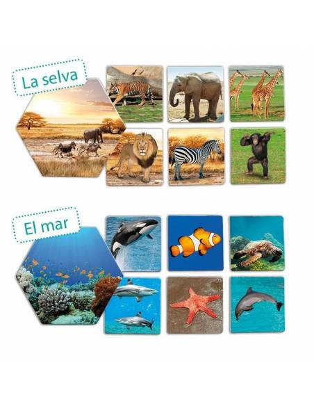 ¿Dónde viven los animales? Akros Ciencia y medio ambiente