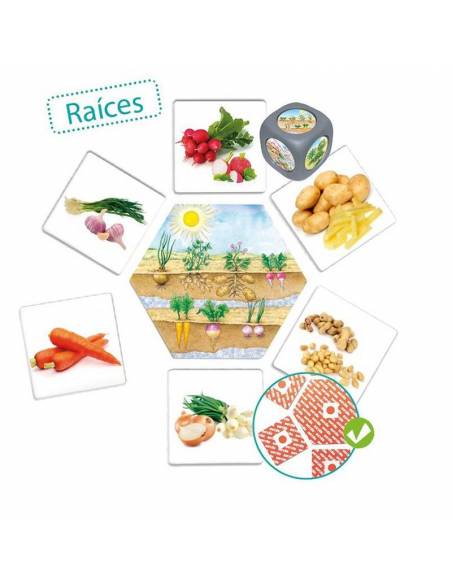 Da dove viene il cibo?