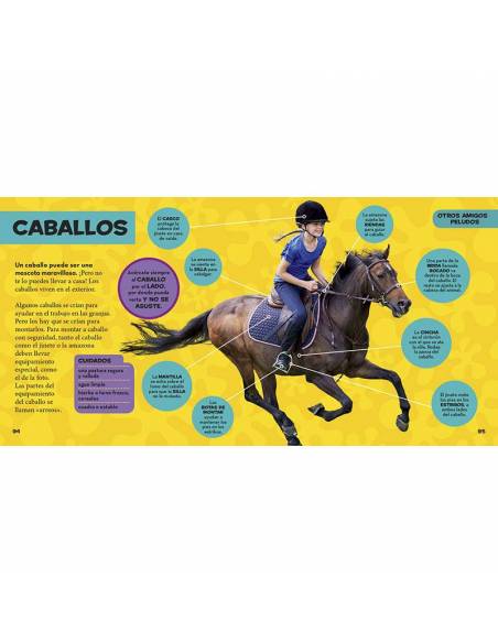 Il mio primo grande libro sugli animali domestici