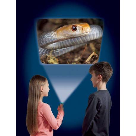 Torcia Mortalità Animali 2