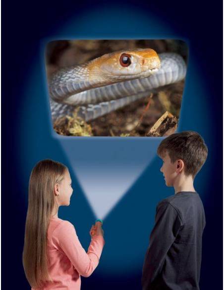 Torcia Mortalità Animali