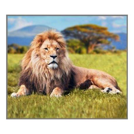 Torcia Mortalità Animali