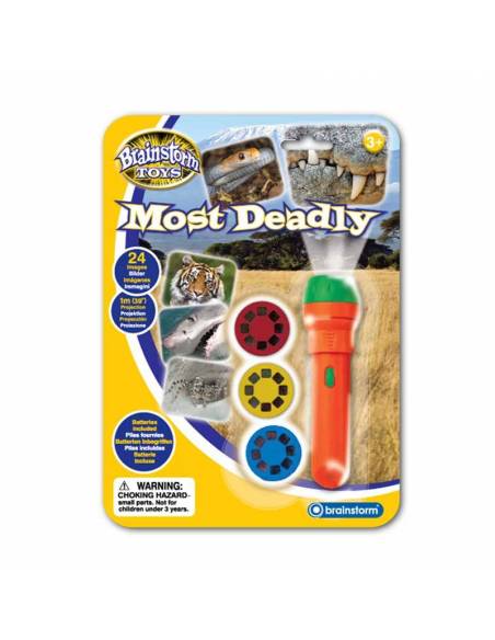 Torcia Mortalità Animali