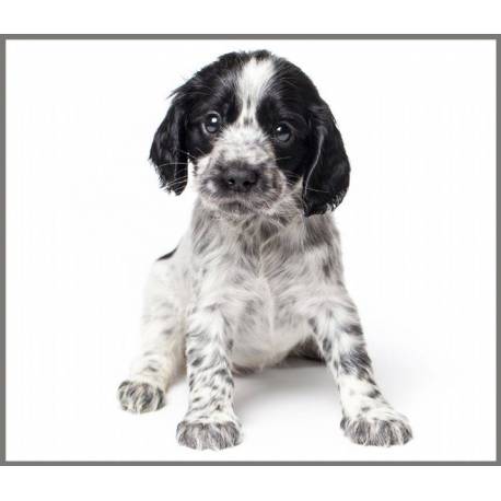 Linterna Cachorros  Linternas Proyector