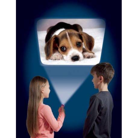 Cachorros torcia