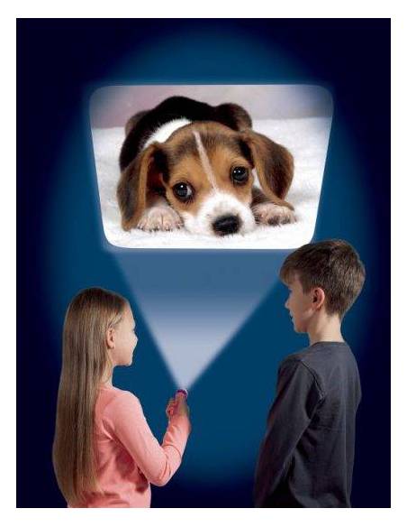 Cachorros torcia