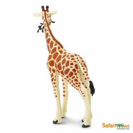 Jirafa  Animales Grandes