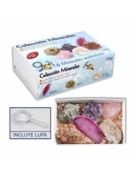 Collezione Minerale nel caso