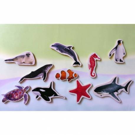 Magneti di bambù - Animali di mare 2