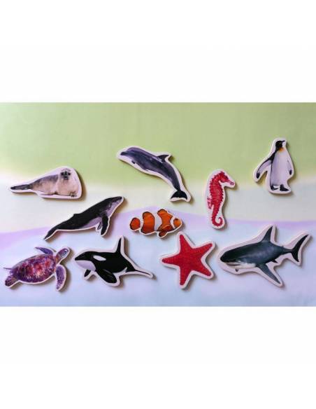 Magneti di bambù - Animali di mare