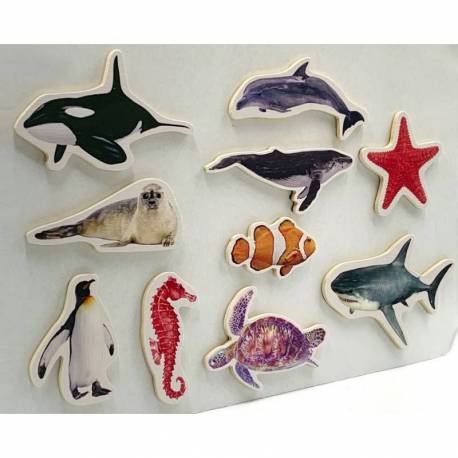 Imanes de bambú - Animales Marinos Nowordbooks De 1 a 3 años