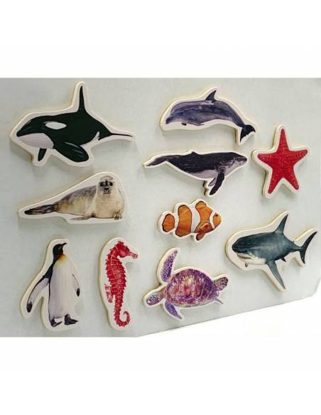 Magneti di bambù - Animali di mare