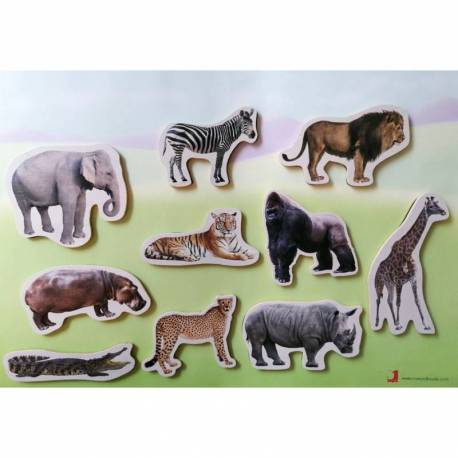 Imanes de bambú - Animales Salvajes Nowordbooks De 1 a 3 años 2
