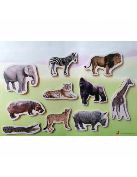 Magneti di bambù - Animali selvatici