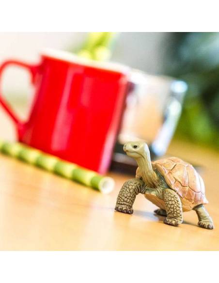 Tartaruga della Terra