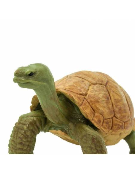 Tartaruga della Terra