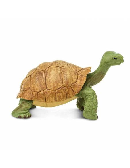Tartaruga della Terra