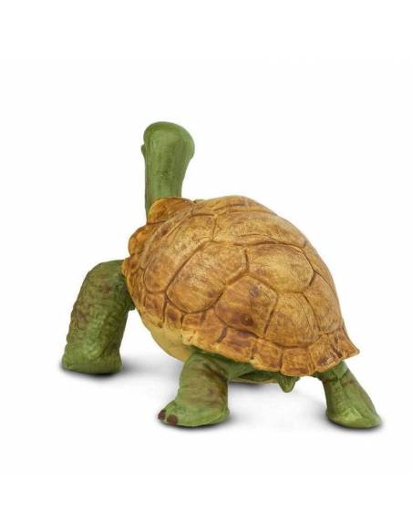 Tartaruga della Terra