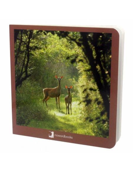 Cuento Imágenes reales - Animales del Bosque Nowordbooks Nowordbooks