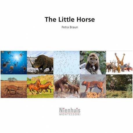 The Little Horse Nienhuis Montessori Books for Children