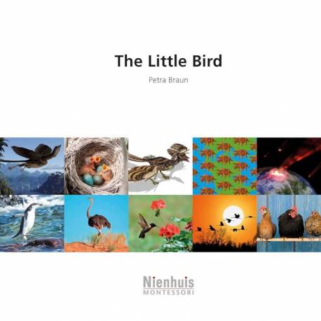 The Little Bird Nienhuis Montessori Books for Children