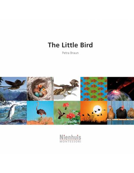 The Little Bird Nienhuis Montessori Books for Children