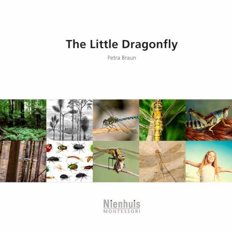 The Little Dragonfly Nienhuis Montessori Books for Children