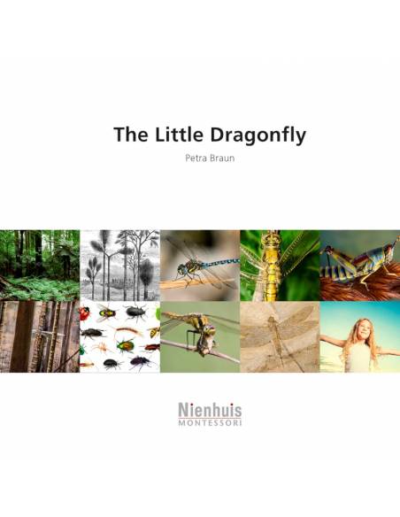 La piccola libellula