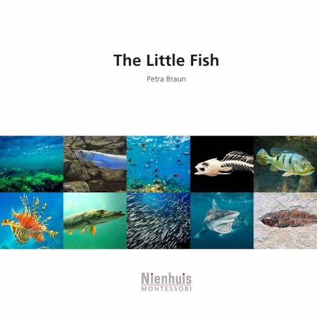 Il piccolo pesce 2