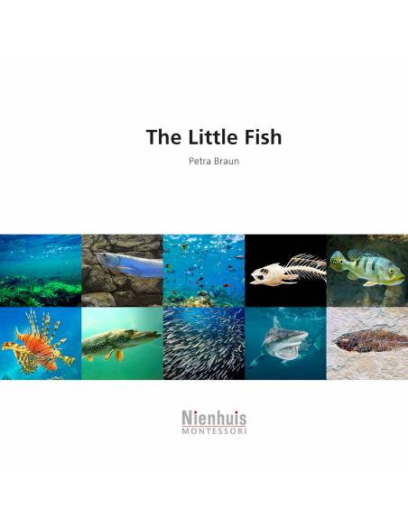 The Little Fish Nienhuis Montessori Books for Children