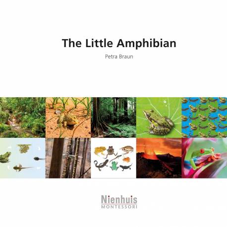 The Little Amphibian Nienhuis Montessori Books for Children
