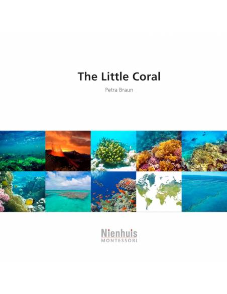 Il piccolo corallo