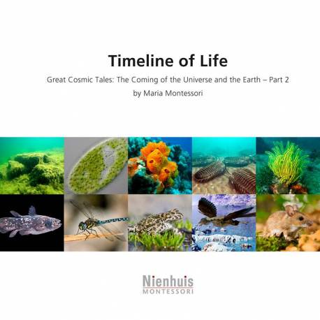Book - Timeline Of Life Nienhuis Montessori Books for Children