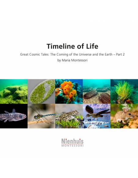 Book - Timeline Of Life Nienhuis Montessori Books for Children