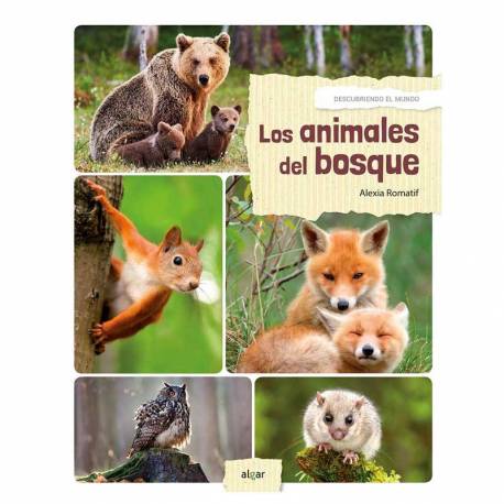 Los animales del Bosque - Descubriendo el mundo  Libros con Imágenes Reales