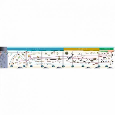 Timeline Of Life Nienhuis Historia y Educación Cósmica