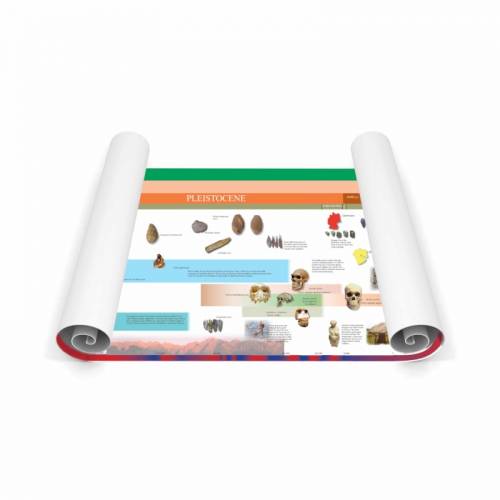 Timeline dei primi esseri umani