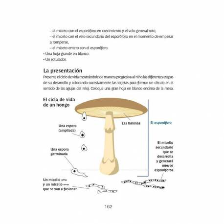 Libro scientifico con Montessori 2