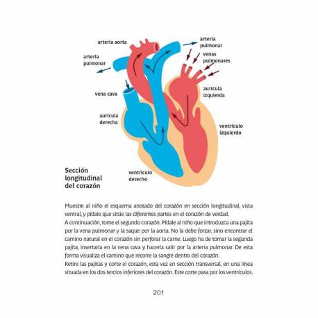 Libro scientifico con Montessori 2 2