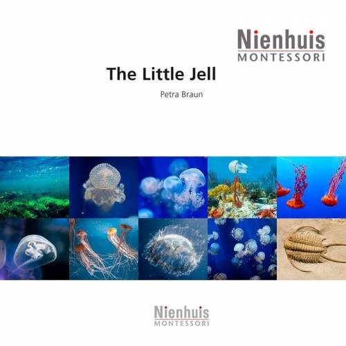 The Little Jellyfish Nienhuis Montessori Books for Children