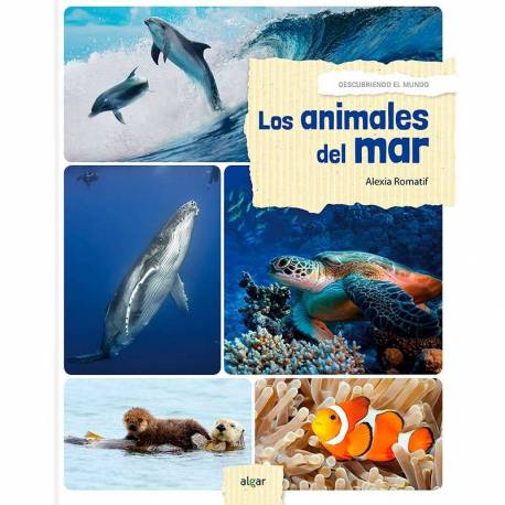 Los animales del mar - Descubriendo el mundo  Libros con Imágenes Reales
