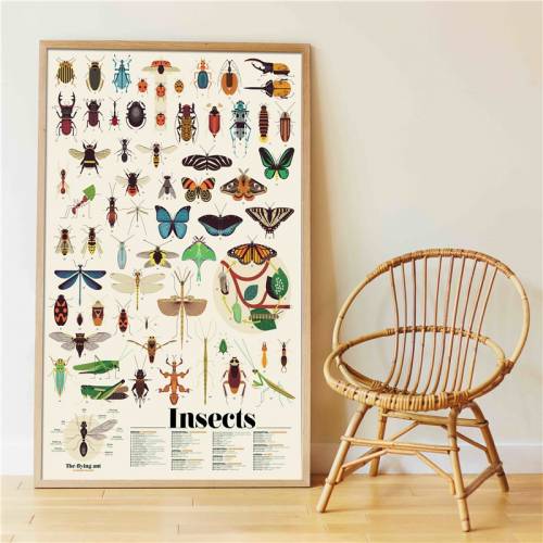 Gran póster de pegatinas - Insectos  Ciencia y medio ambiente