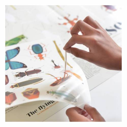 Grande adesivo poster - Insetti