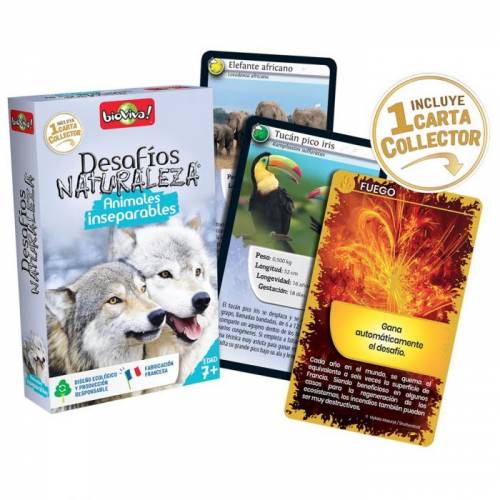 Bioviva - Carte animali inseparabili