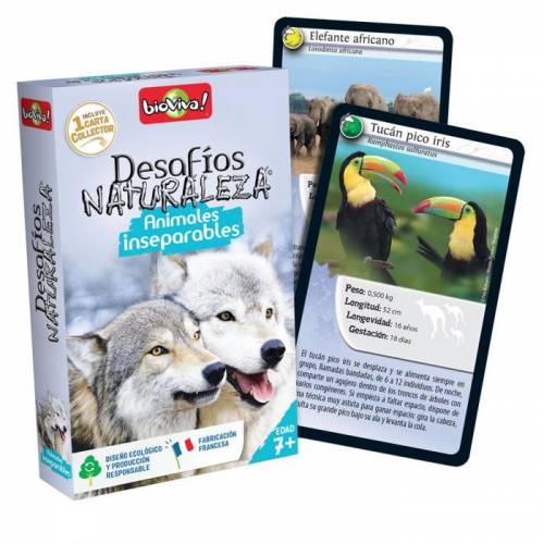 Bioviva - Carte animali inseparabili