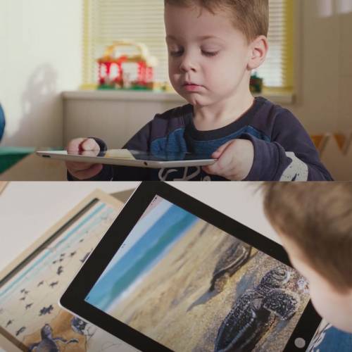 Puzzle Realtà Aumentata - Ciclo del Ladybug