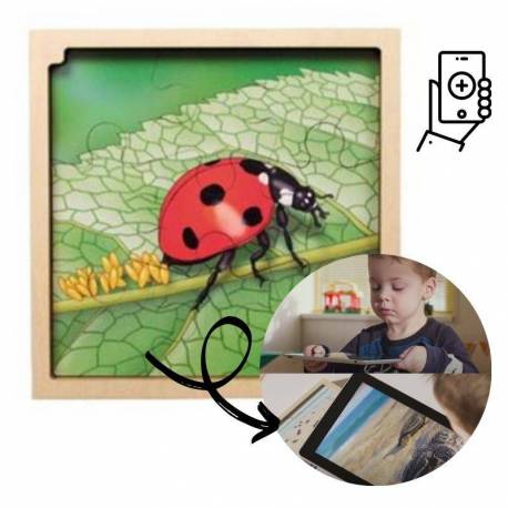 Puzzle Realtà Aumentata - Ciclo del Ladybug