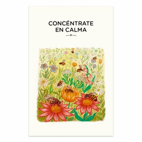 Juego de cartas con calma - Mindfulness  Educativos